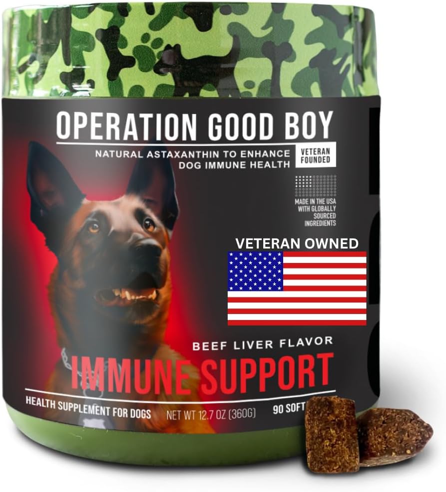Operation Good Boy Immune Support Supplement for Dogs & Grenade Chew Toy Bundle – Vitamin C Soft Chews with Natural Ingredients & Beef Flavor – 90 Count – Durable Treat-Dispensing Grenade Toy for Chew