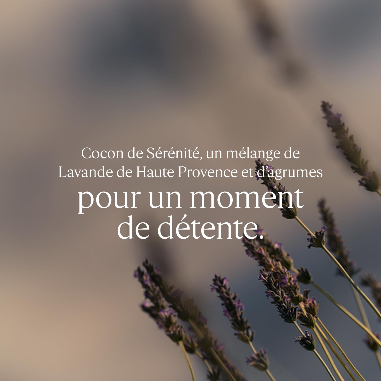 L'OCCITANE - Brume d'Oreiller Relaxante Cocon de Sérénité - 100 ml | Parfume votre intérieur, le linge, les draps et l'oreiller - Fabriqué en France