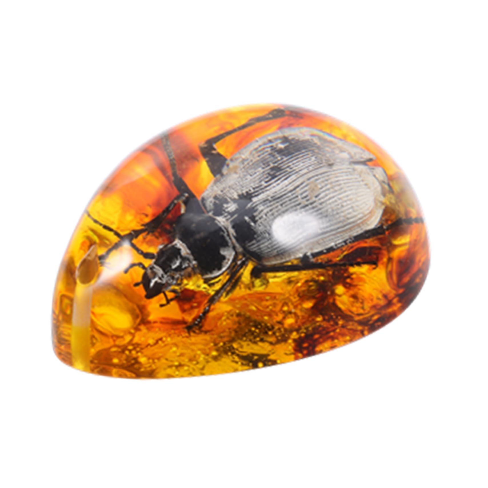 ibasenice Amber Beeswax Specimen Amber with Insect Amber Stone Beetle Insectspecimen Insect Amber Insect Samples Stones Desktop Amber Ornament Amber Insect Amber Paper Weight Crafts Resin