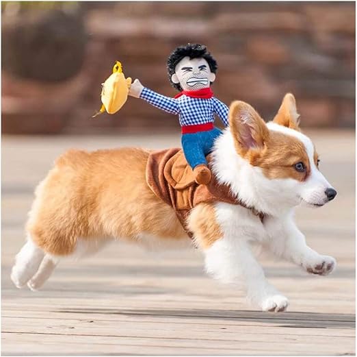 Amazon Co Jp 犬服 クリスマス犬のコスチュームハロウィンペット服セットカウボーイスタイルの犬服 ペットライディングカウボーイナイトスタイルの猫のコスチュームに変身ハロウィーンの飾り Xl ホーム キッチン Amazon Co Jp 犬服 クリスマス犬のコスチュームハロウィンペット服セットカウボーイスタイルの犬服 ペットライディングカウボーイナイトスタイルの猫のコスチュームに変身ハロウィーンの飾り Xl ホーム キッチン
