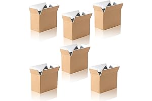 Insulated 6 Pack Shipping Box with Dry Ice Tech for Shipping Frozen Food