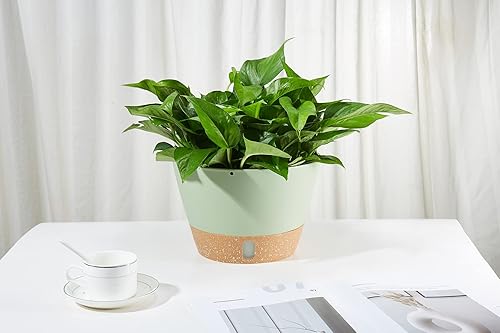 Miniatura 6 de Paquete de 2 macetas colgantes de 10 pulgadas para interiores y exteriores, maceta colgante de plástico con orificio de drenaje con bandeja