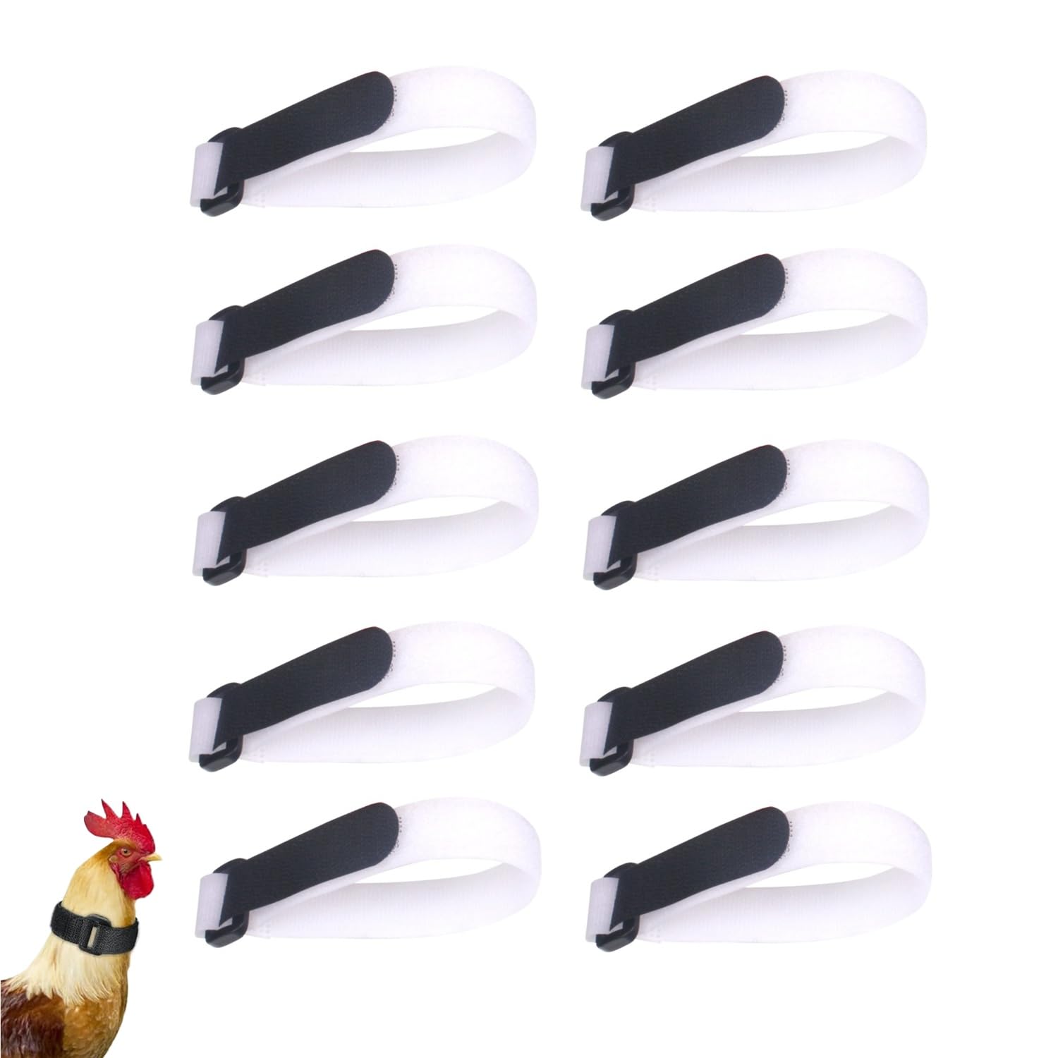 Amazon | 10個 防鳴き首輪 鶏用 鳴き防止ネックベルト ニワトリ用耐久