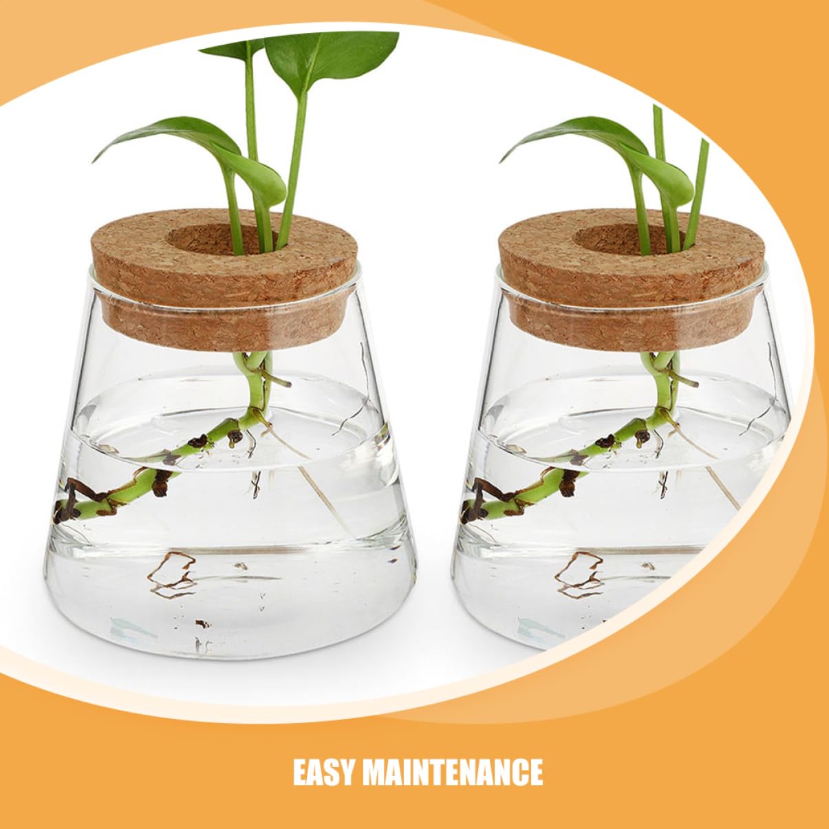 TOPBATHY 3pièces Vase Hydroponique Verre avec Couvercle Petite Jardinière pour Propagation De Plantes Terrarium De Bureau Transparent pour Fleurs
