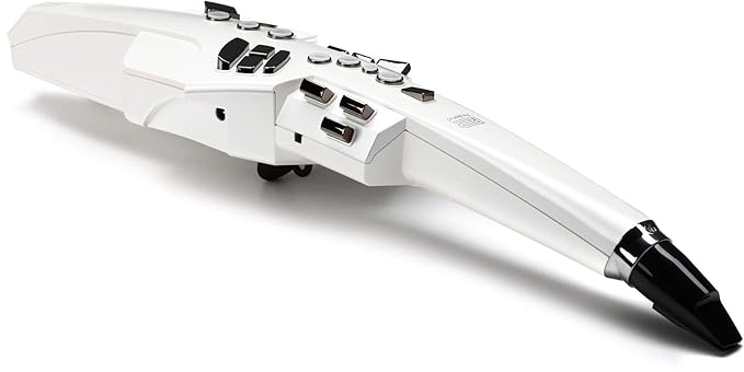 Roland AE-10 Aerophone Digital Wind Instrument