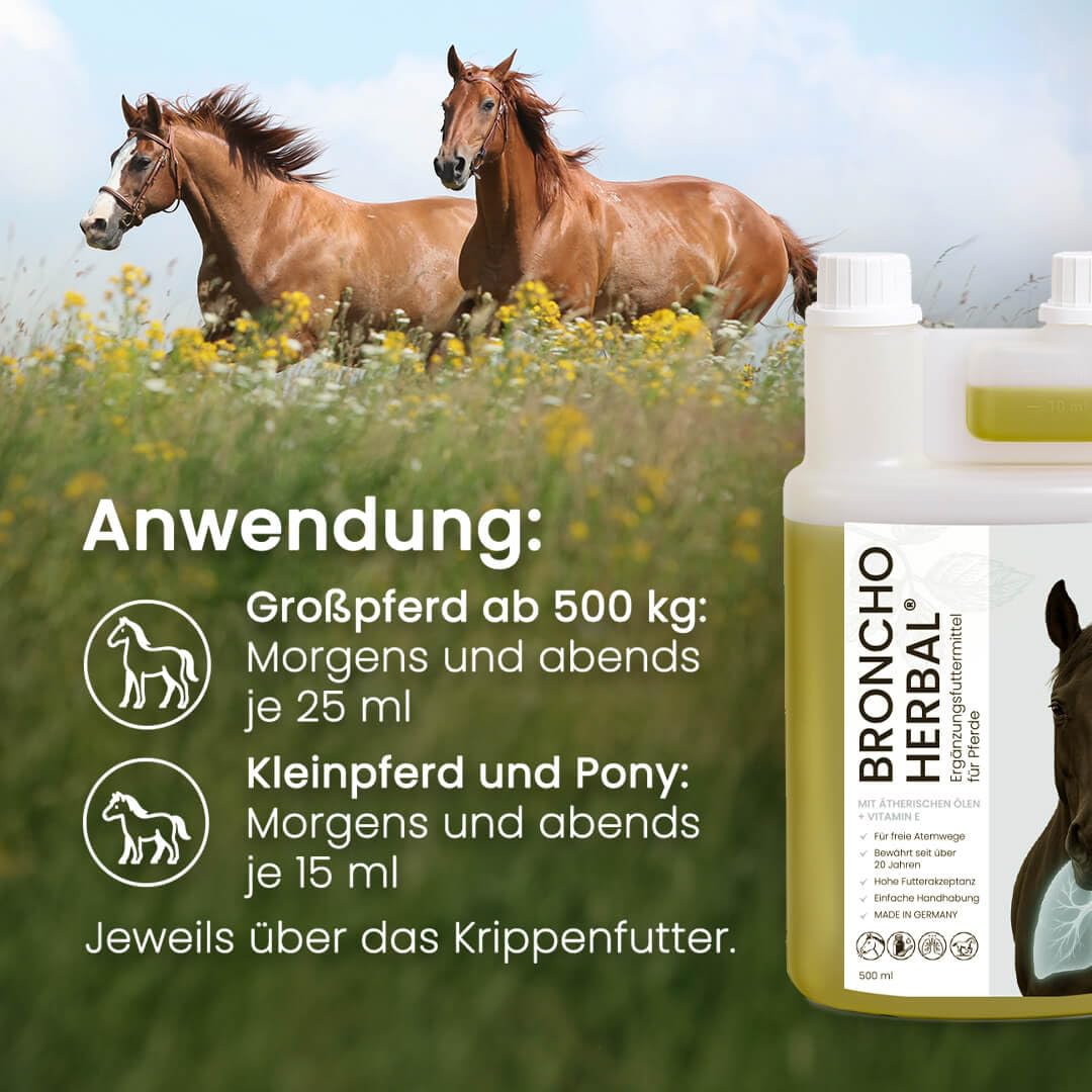 Broncho-Herbal® für Pferde 1000 ml | Ergänzungsfuttermittel mit ätherischen Ölen & Vitamin E | Kann Bronchien & Atemwege unterstützen | Natürlich & bewährt seit über 20 Jahren