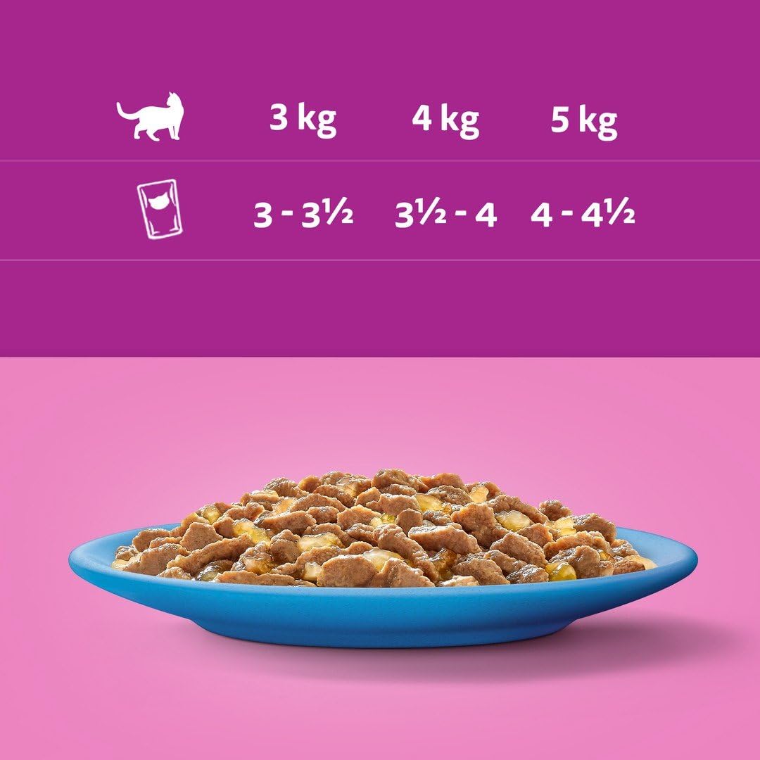 WHISKAS - Comida para Gatos (48 bolsitas frescuras, 4 Paquetes de 12 x 85 g) - Pescado Favorito (4 variedades) - Paté para Gatos Adultos en gelatina
