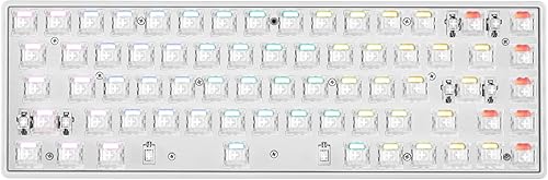 DrunkDeer G65 Rapid Trigger Mechanical Keyboard Magnetic Switch Gaming RGB 65% Size Compact Numeric Keypadless Wired Barebone No Key Cap White