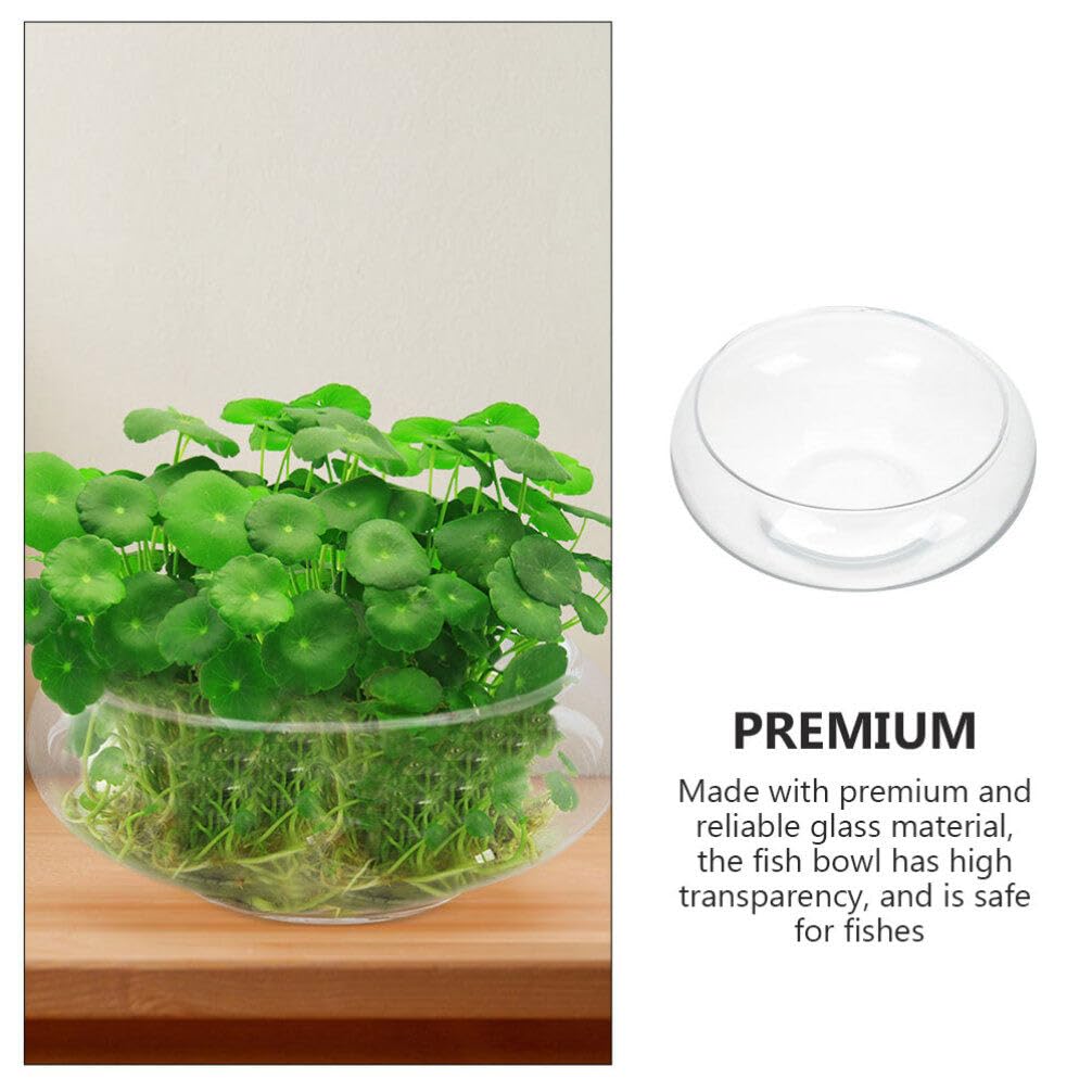 Ipetboom Pecera Redonda Pecera De Cristal Transparente Globo Florero Terrario Maceta Suculenta Soporte para El Hogar Decoración del Banquete De Boda L