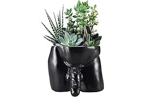 Body Vases for Any Decor