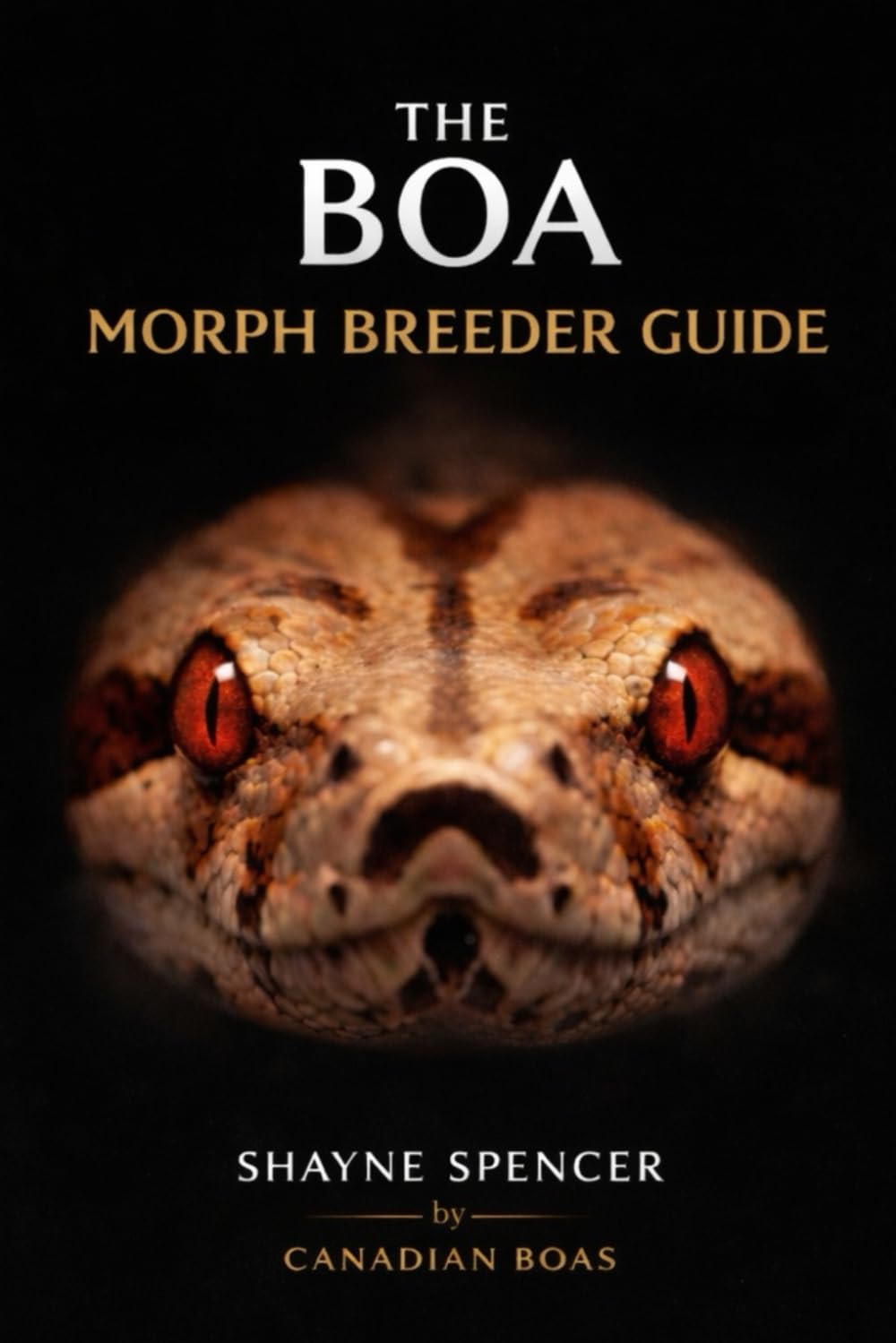 The Boa Morph & Breeder Guide: Top 111 Morphs