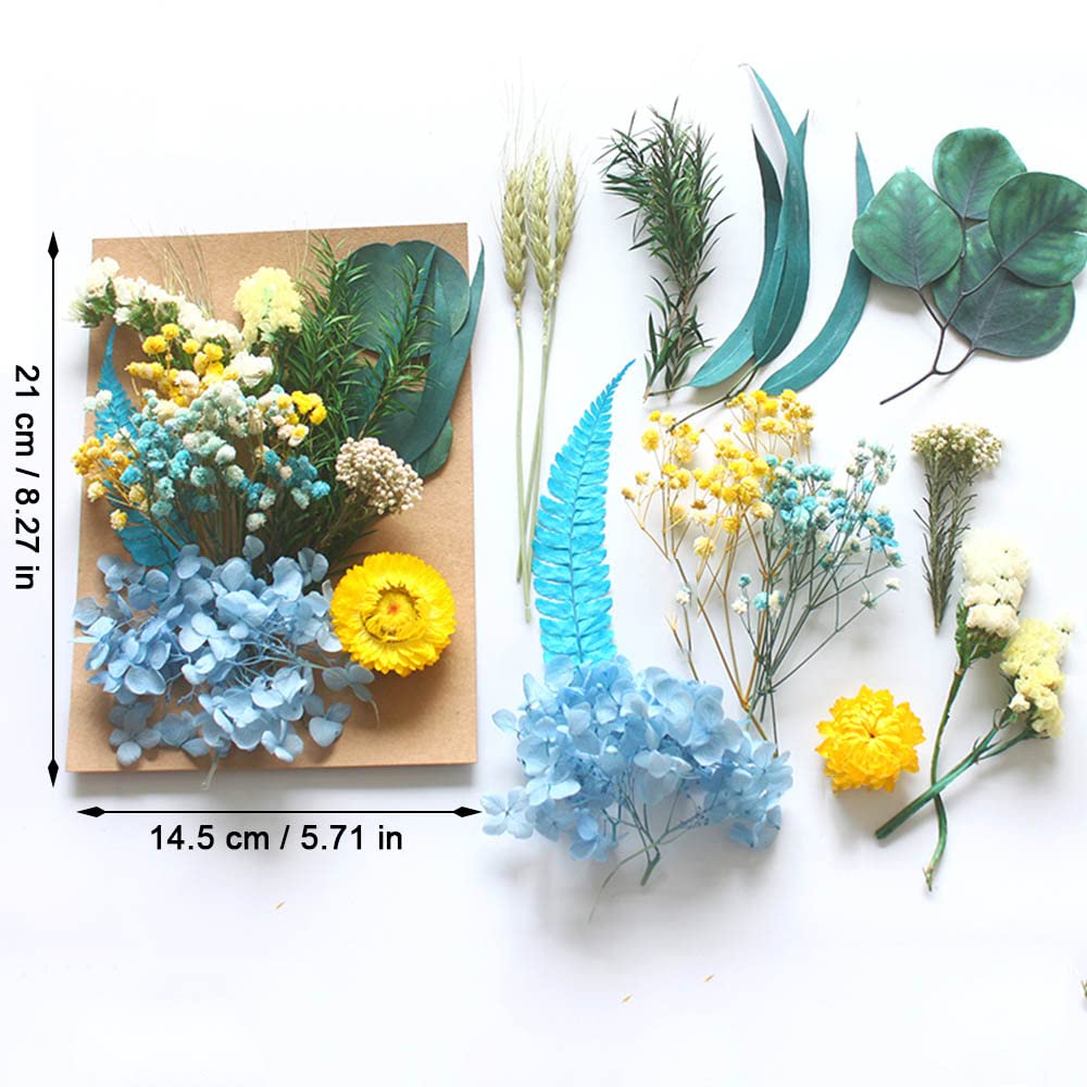 36 Stück Getrocknete Blumen - Natürliche Pressblumen Für DIY Basteln