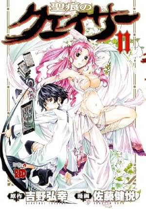 聖痕のクェイサー(22): チャンピオンREDコミックス | 吉野 弘幸, 佐藤