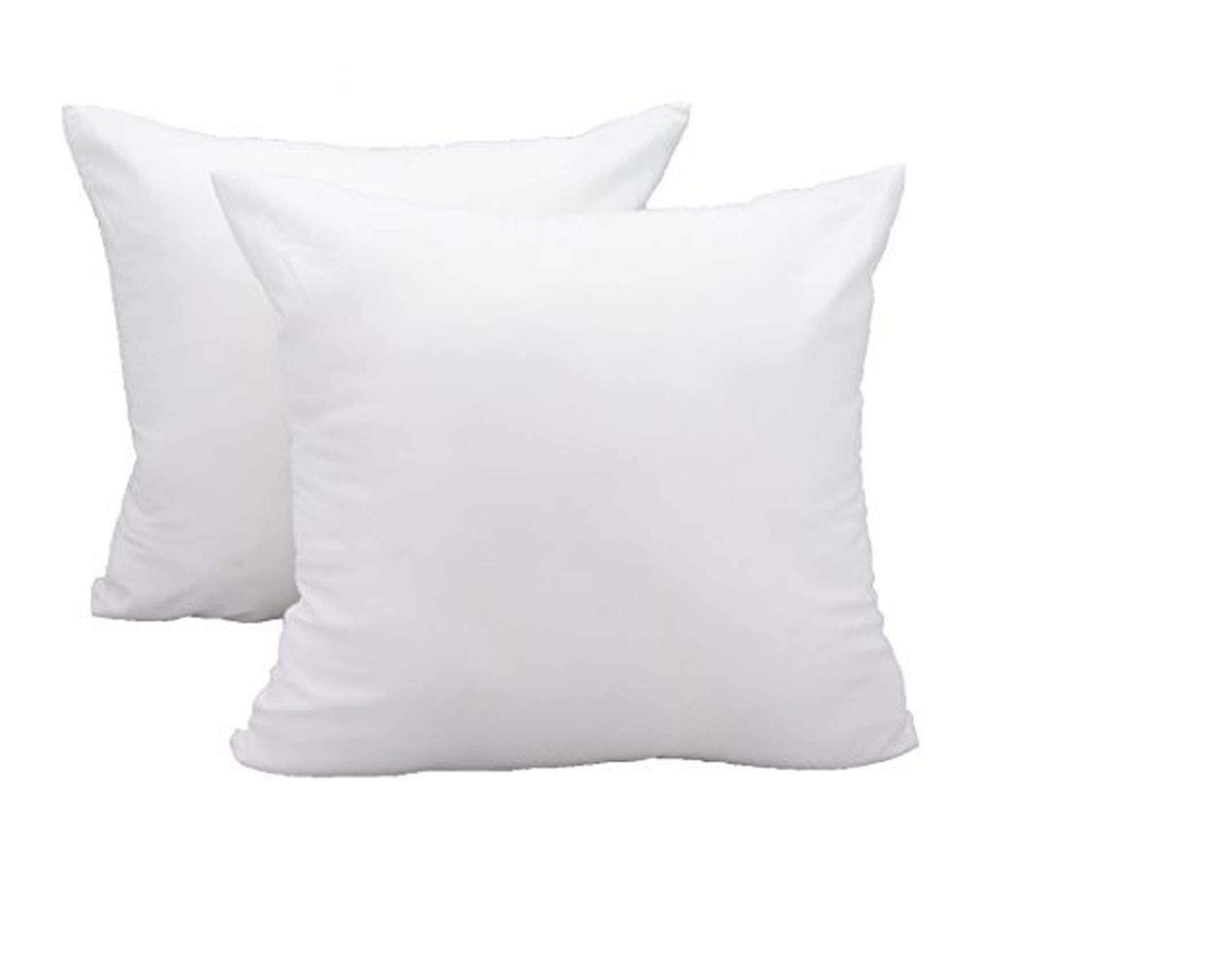 Home-The Best is for You Micro Fiber Cushion Insert Extra Soft, White (Pack of 2, 20x20 Inch)