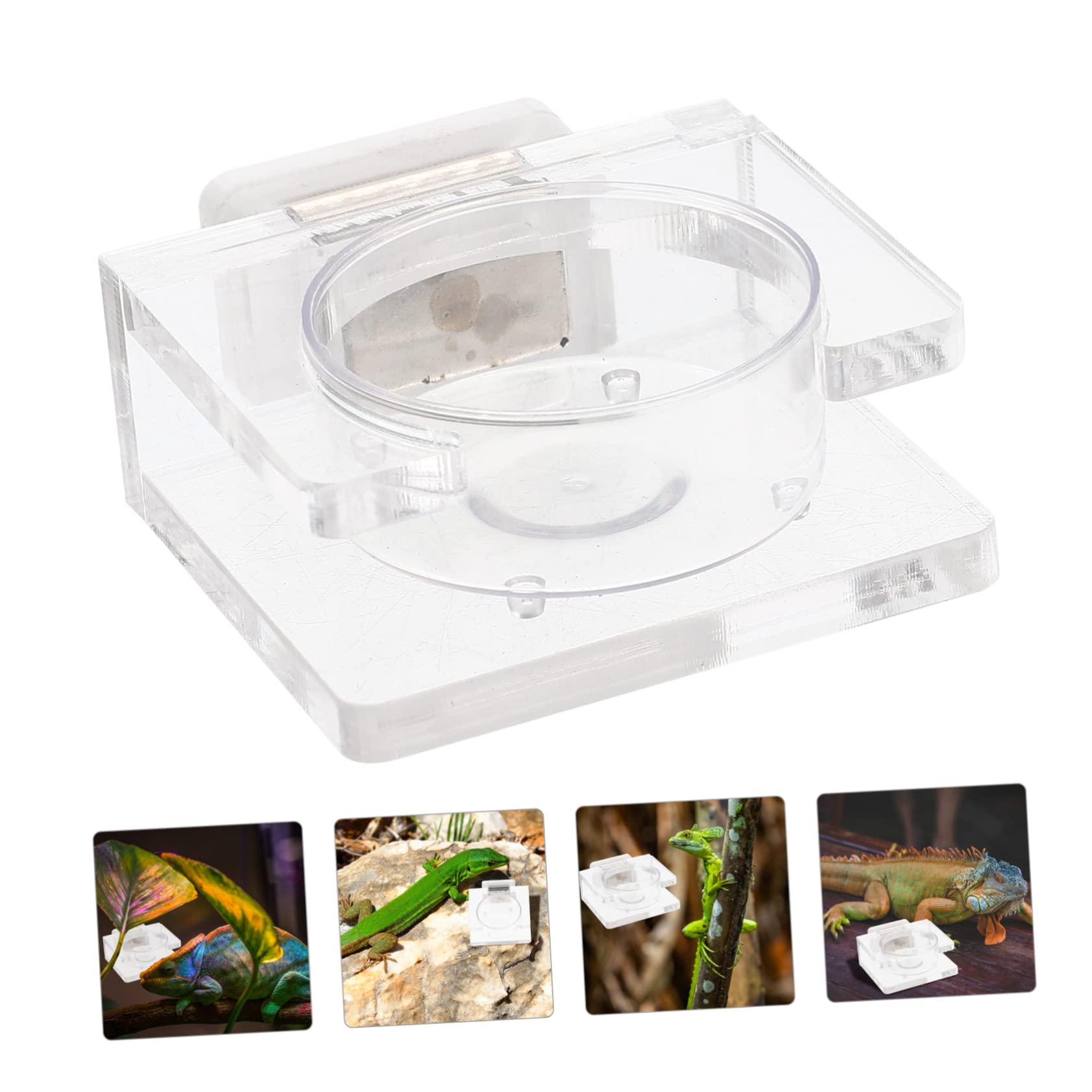 INOOMP 5 Pezzi di Mangiatoia per Rettili in Materiale Avanzato Ciotola per Lucertole Design Pratico Facile da Usare per Rettili