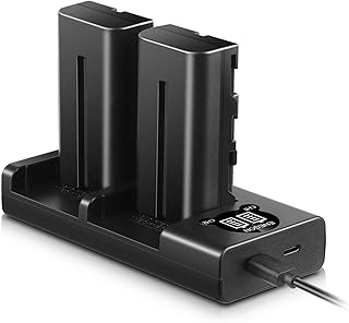 NP-F550 ENEGON Camera Battery (2-Pack,2900mAh) for On Camera LED Video Light Panel and Rapid Dual Slot Charger for Sony NP F970, F750, F770, F960, F530, F330, F570, CCD-SC55, TR516, TR716, TR818