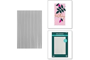 SPELLBINDERS SUPREME Embossing Folder Storage 3D Embossing Folder Corrugated, Opaque