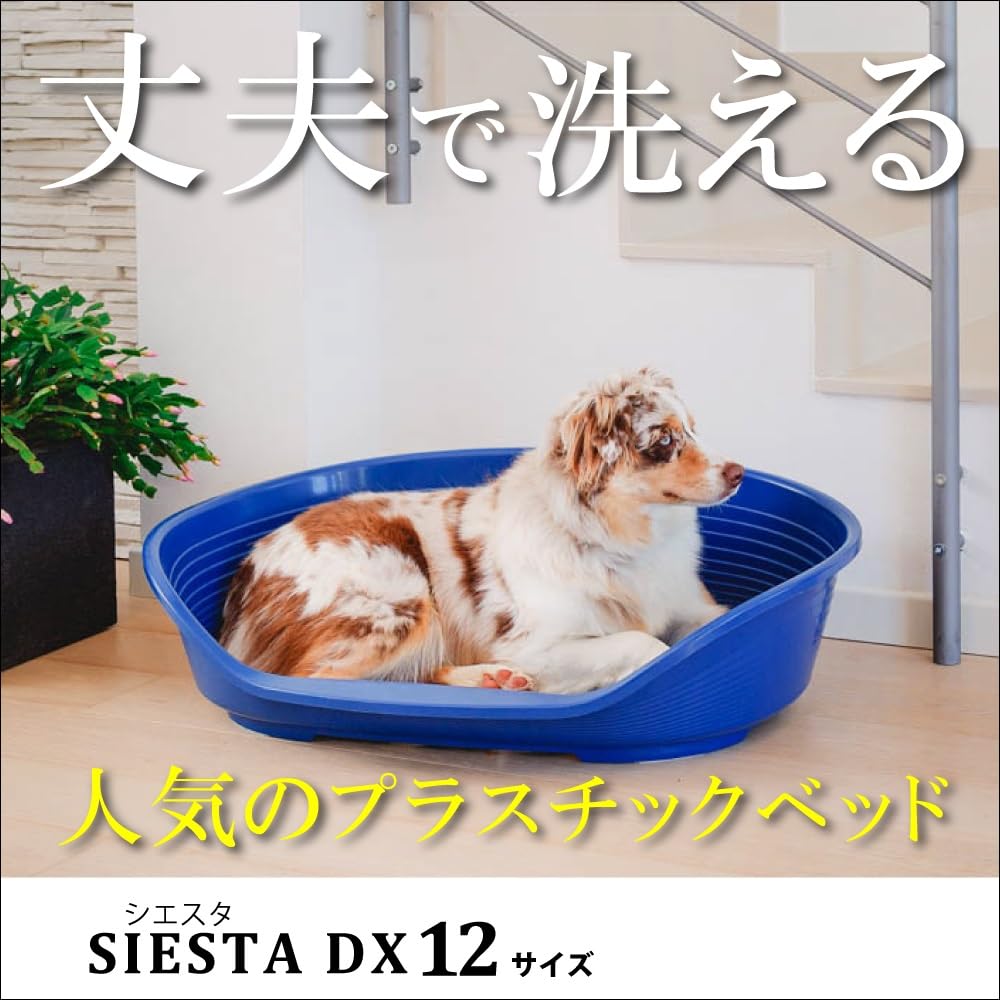 Amazon | ファープラスト シエスタ SIESTA DX 12 洗える ベット ベッド