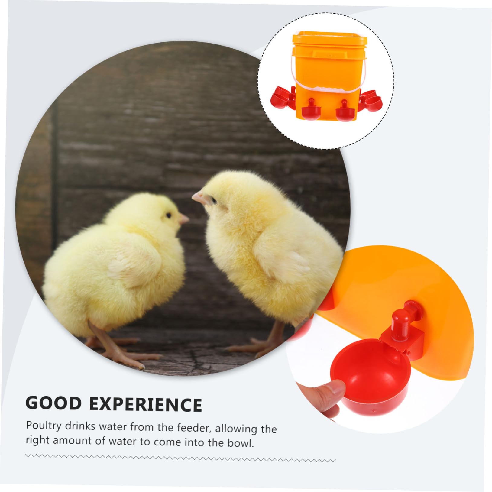 Abbeveratoio Automatico per Polli con Secchio e Tazze Arancione | Set 1 Pezzo in Plastica, per Pollame e Animali Domestici, Adatto a Negozi Professionali e Allevamenti Commerciali