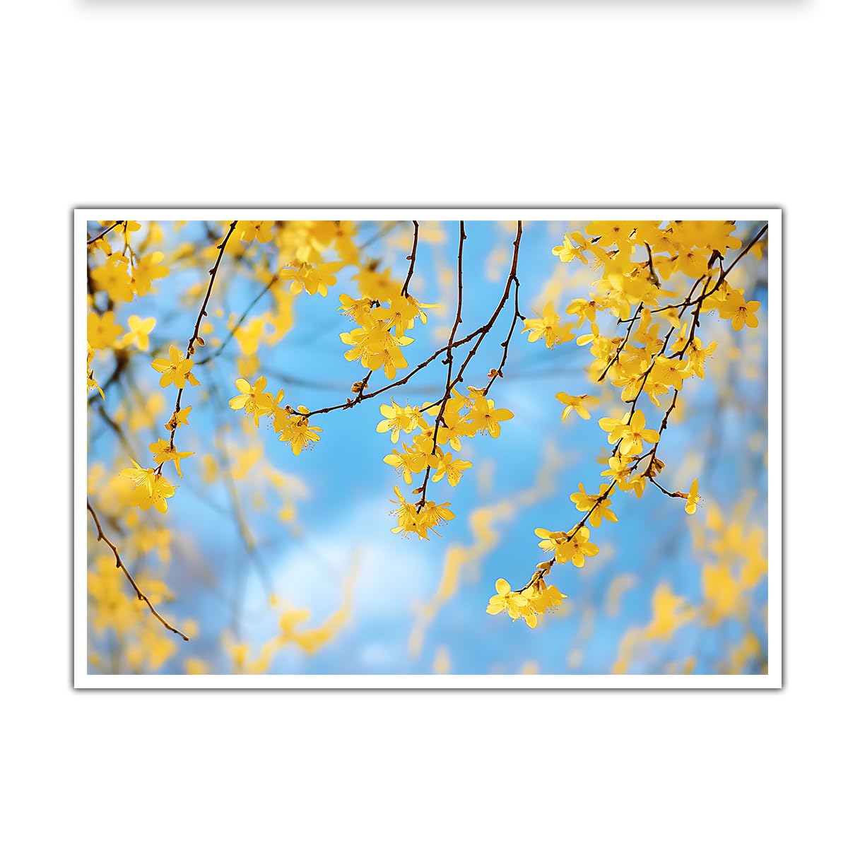 Lienzo Sin Marco Floral Amarillo, Pintura Botánica Rama de Árbol de Primavera Romántica para Comedor Salón 70x105cm