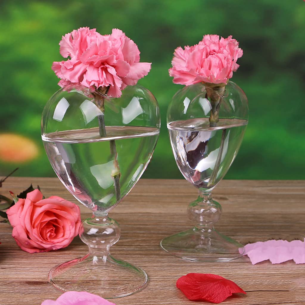 Amazon.com: JinGuoZiLP Heart Shape Glass Flower Pot Desktop Standing Vase  Planter Container Home Decoration Wedding Party Decor, 18* 12* 10cm,  Transparent : Patio, Lawn & Garden