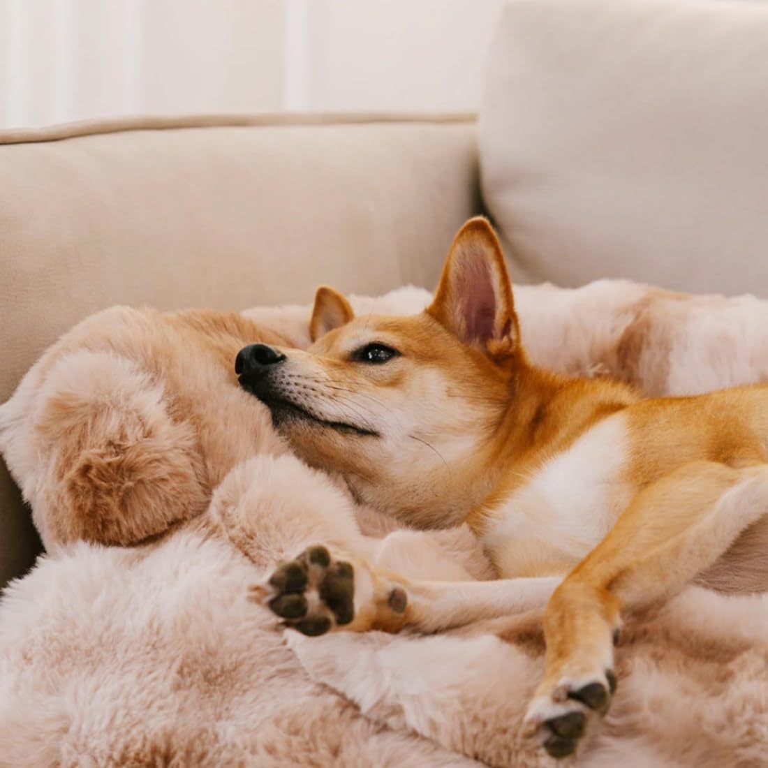 Luxuriöses Cozy Kuscheliges Hundebett Sofabett, Weich Hundebett Auto mit Erhöhte Ränder, Hundedecke Couch Wärme Couchbezug, waschbar,Rutschfeste Unterseitefür Sofa Boden Auto (A,L(95 x 85 x 16 cm))