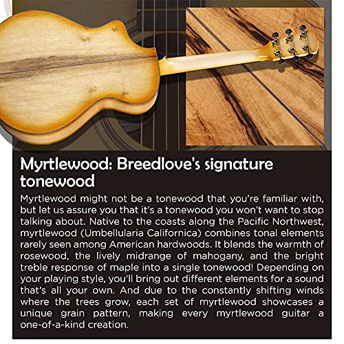 Breedlove Organic Artista Concertina Ce Acoustic-Electric Guitar - Natural Shadow Torrefied European Spruce/Myrtlewood #TOP2