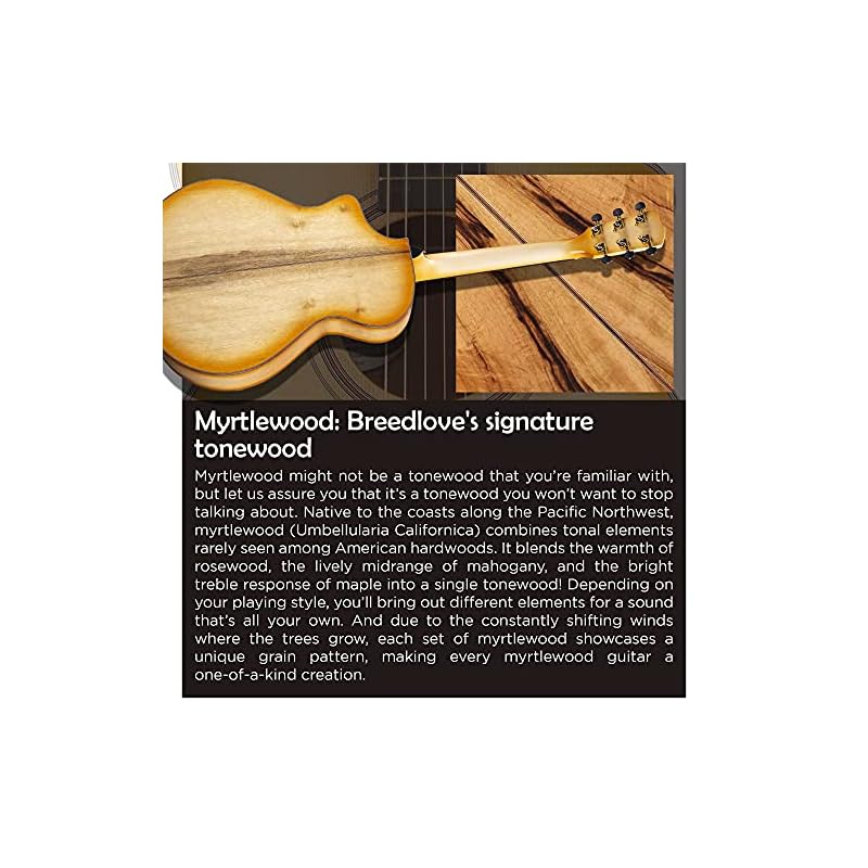 Breedlove Organic Artista Concertina CE AcousticElectric Guitar