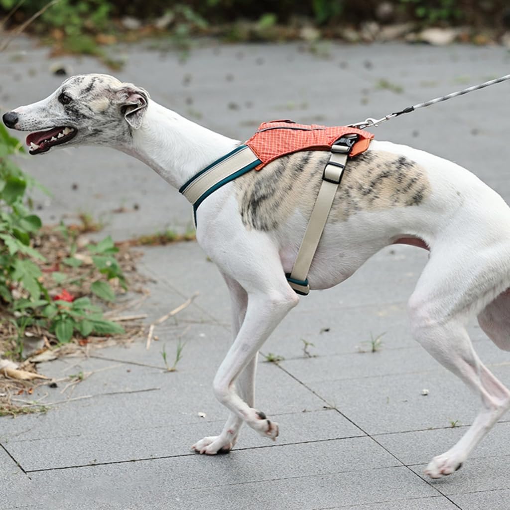 Traspirante Cuccioli Sicuro Imbracature Riflettente Regolabile Pet Training Vest per Piccoli Media Cani di Grandi Dimensioni