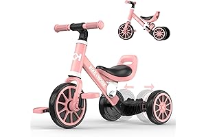 BIKE WORK 4 in 1 Kids Tricycle for Toddlers