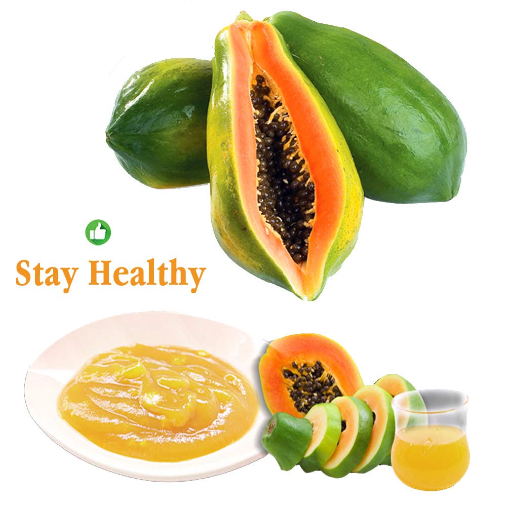 Plant Gift 100% Pure Papaya powder 木瓜粉 Polvo dietético natural, polvo de papaya, no transgénico y vegetariano 100g
