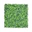 Boxwood Double Color