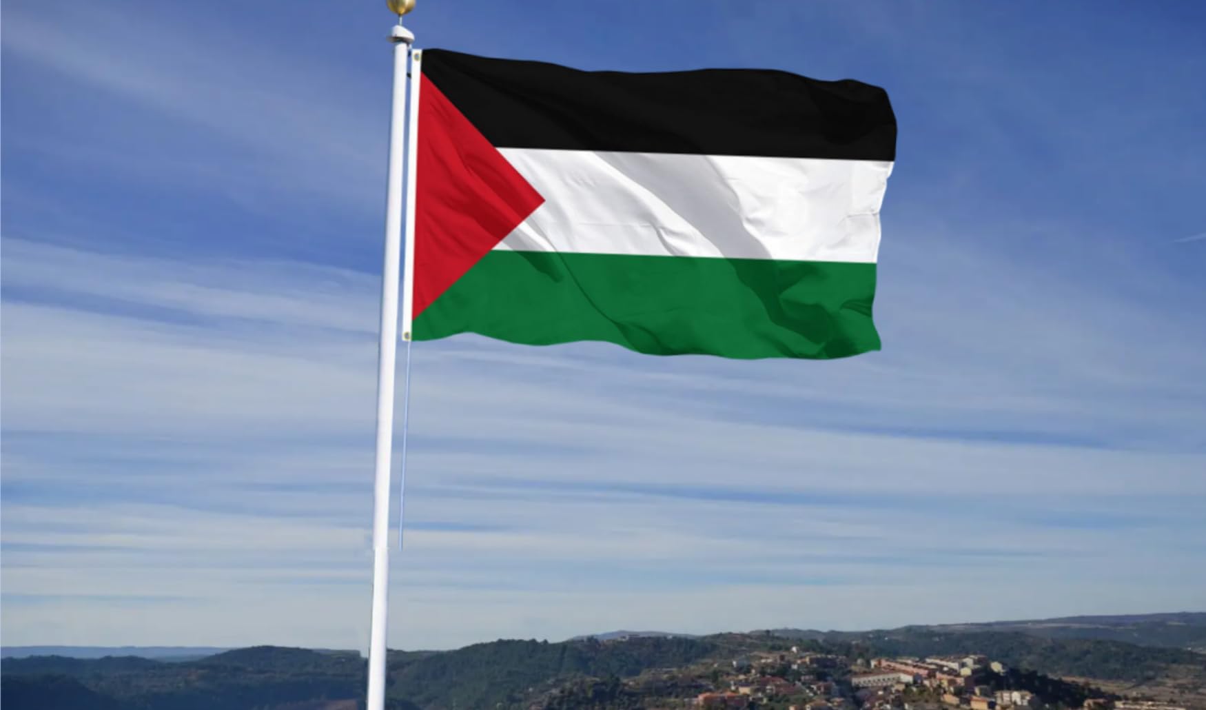 Bandiera della Palestina da 0,9 x 1,5 m, colori vivaci e a prova di scolorimento, testata in tela e doppia cucitura, bandiere palestinesi in poliestere con occhielli in ottone, 9,6 x 1,5