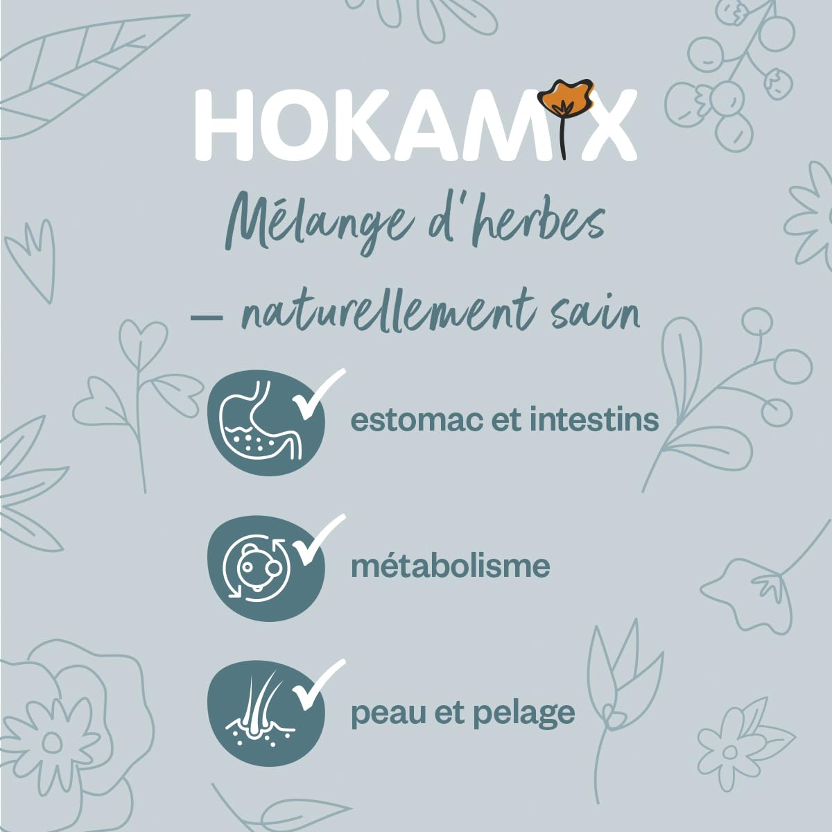 Grau - L’Original - Hokamix Vitality Booster, Lot De 1 (1 x 5 kg)