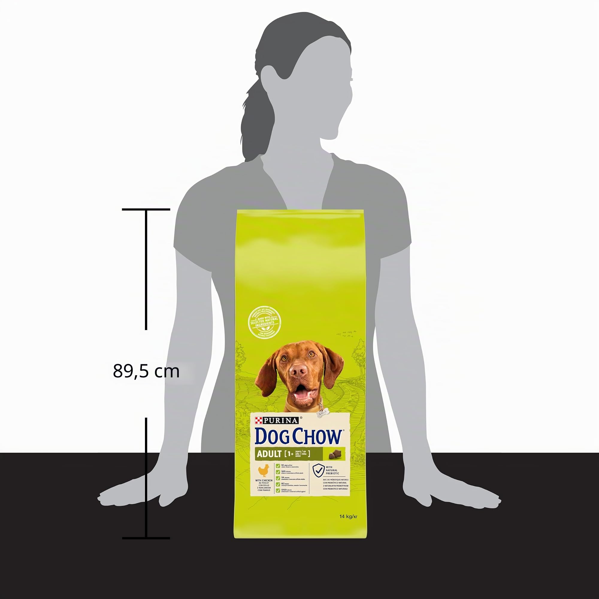 PURINA DOG CHOW Adult Cane Crocchette con Pollo, 14 kg