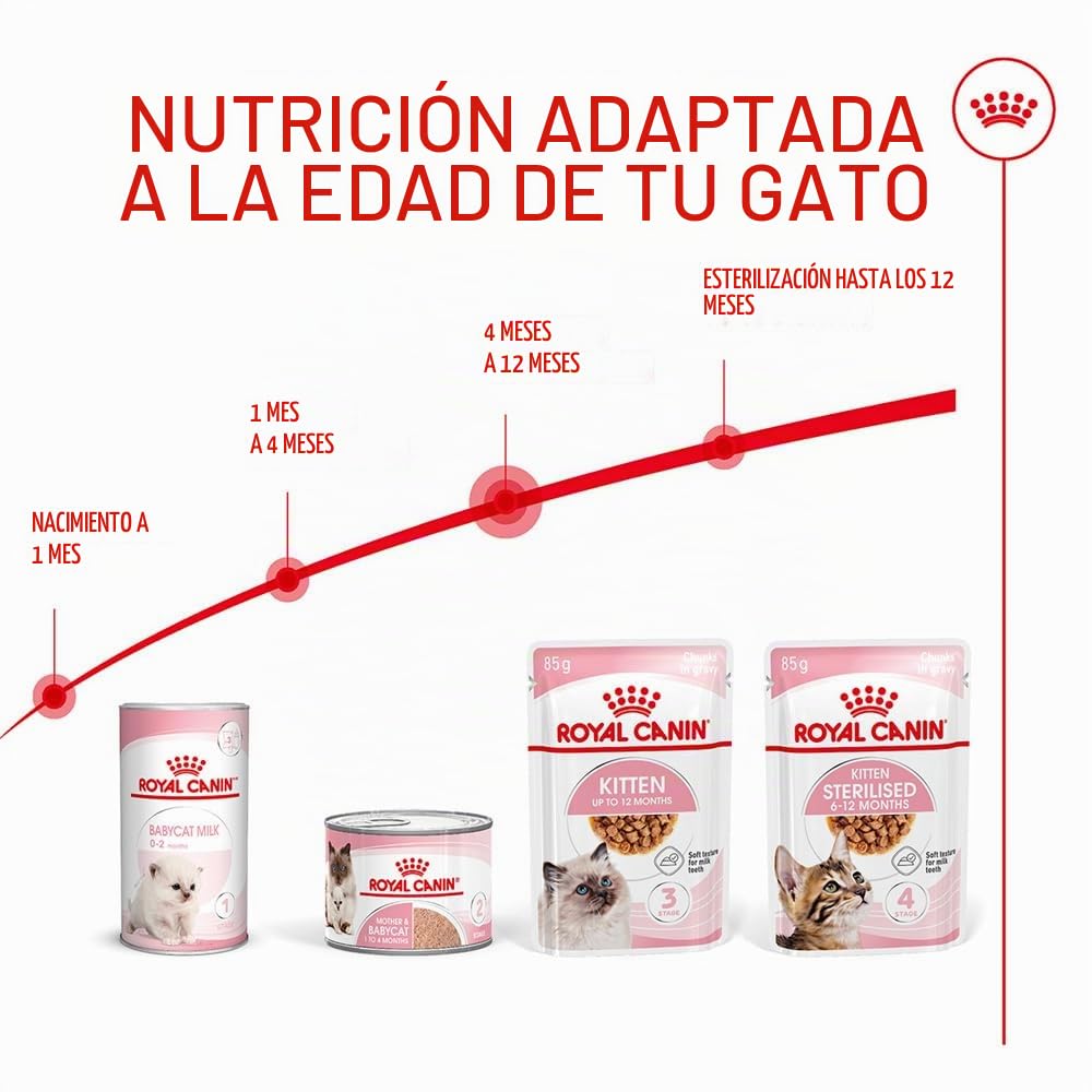 Royal Canin Kitten | 12 x 85 g | Comida húmeda para gatitos | Finos trocitos en salsa | Especialmente para gatitos en la segunda fase de crecimiento hasta los 12 meses
