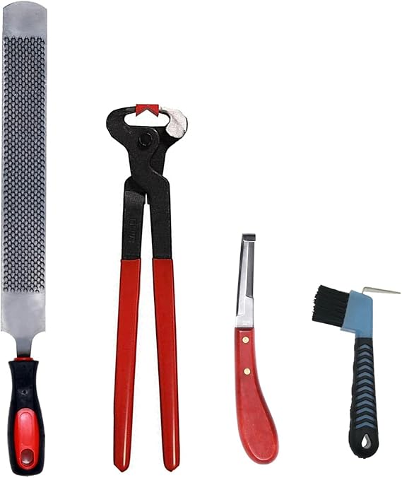 Different Horseshoe Types And Uses Best Horse Rider