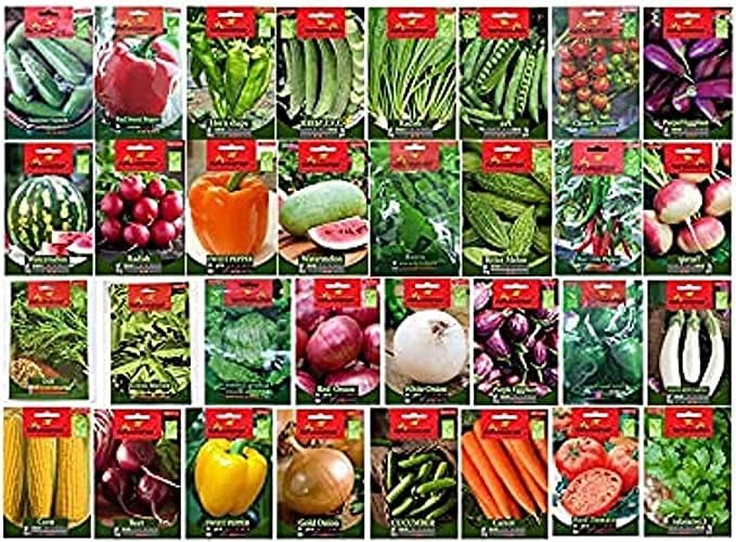 Premium Quality Seeds, Seeds For Planting,Vegetables Seeds (Mint Seeds
