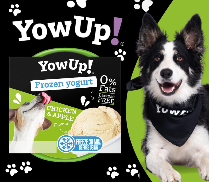 YowUp! Joghurt-Eis für Hunde