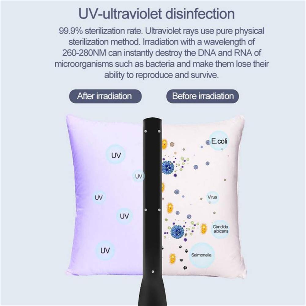 10W Lámpara UV mano, portátiles esterilizador ultravioleta lámparas UVC temporizador de cuarzo artefacto de iluminación para el recorrido del hogar del filtro de aire de carga USB