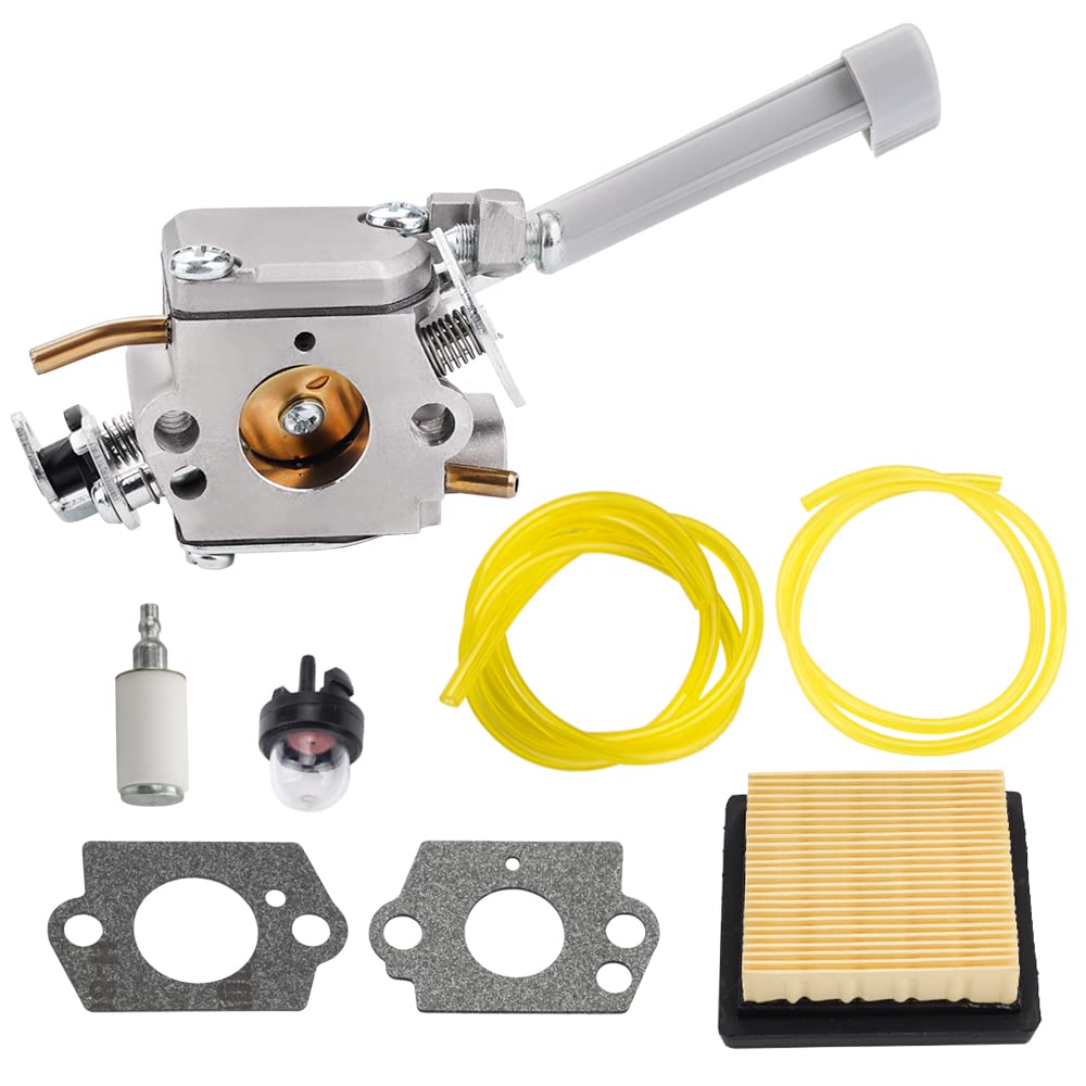 Kizut RY08420A Carburetor Air Filter 