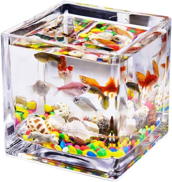 TOOSII Fish Bowl Vase Desktop Square Transparent Glass Small Office Home Fish Tank Water Grass Fish Tank Fish Decorative Fish Small Fish Tank Small Fish Tank Starter Kit (Color : A, Size : 15cm)