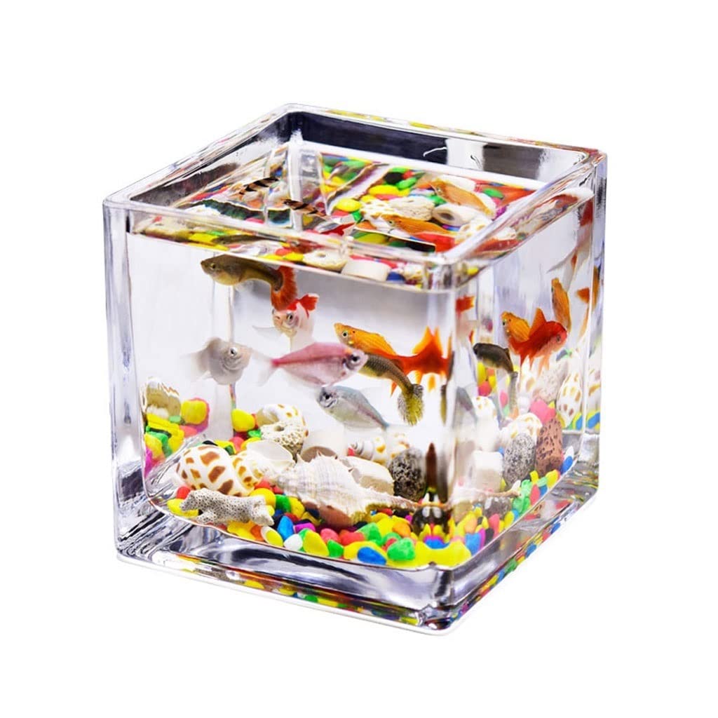 Pecera Cuadrada de Cristal Transparente para Escritorio, pequeña, para Oficina, hogar, Agua, Hierba, pecera, Peces Decorativos, pecera pequeña, pecera Genial (10 cm) (A 10 cm)