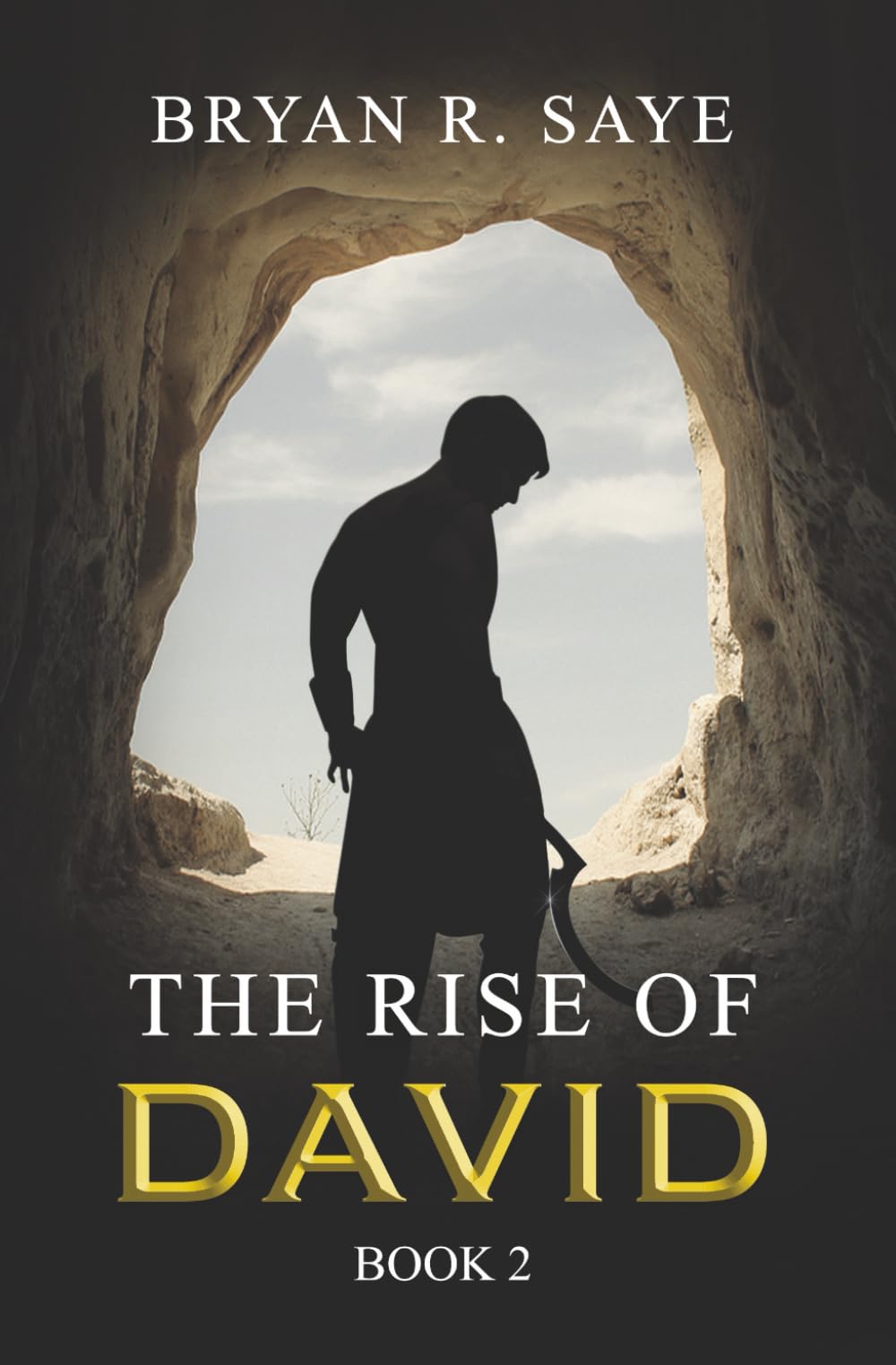 The Rise of David: Book 2 (The Kings of Israel)