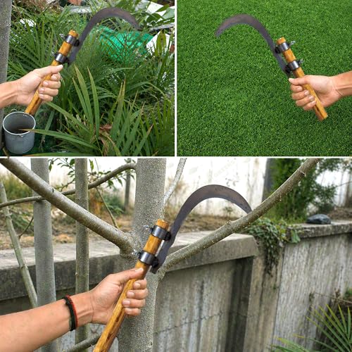 Image of Anandi Green's Gardening Sickle with Sharp Curved Blade | High Carbon Steel Grass Cutter | Hand Tool for Weeding, Harvesting & Farming Use