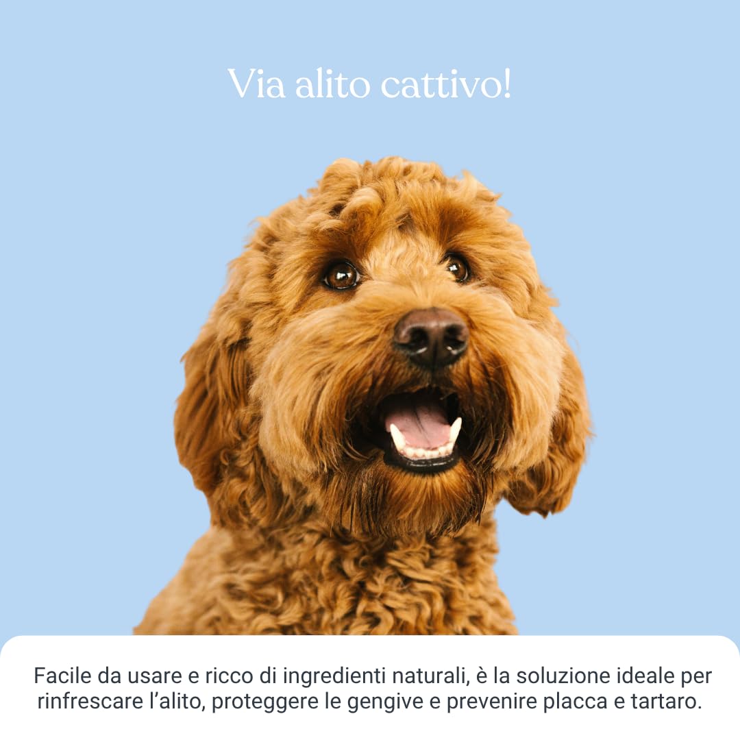 Dentifricio Spray per Cani, Pulizia Denti Profonda, Alito Fresco, Previene Tartaro, Menta e Tè Verde 100 ml