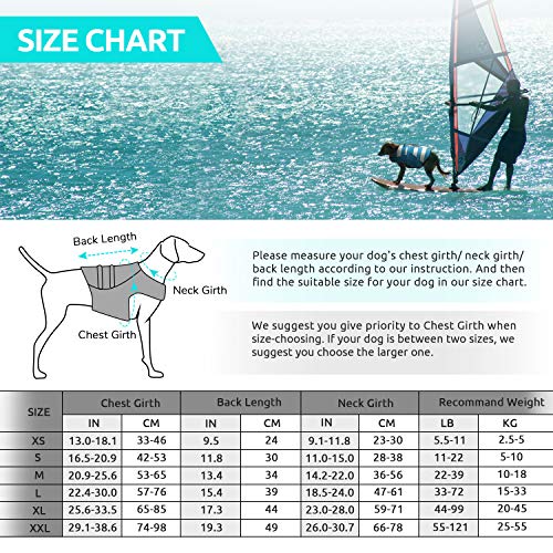 Hundeschwimmweste Citetoile mit Griff für Hunde