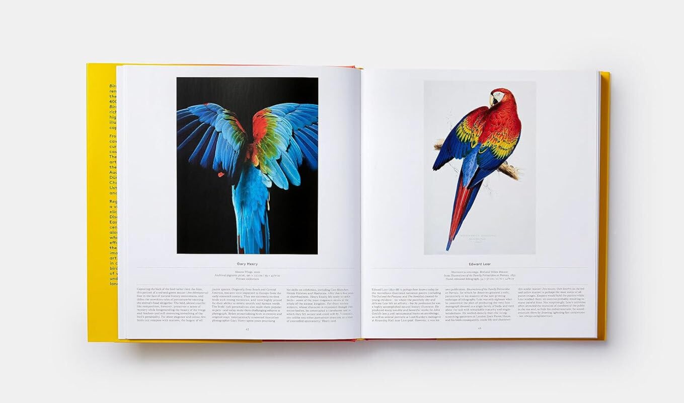 BIRDS - Die Welt der Vögel: Ein Ausflug in die gefiederte Welt. Üppiger Bildband mit künstlerischen und wissenschaftlichen Porträts von Vögeln in Malerei, Fotografie, Popkultur und Forschung