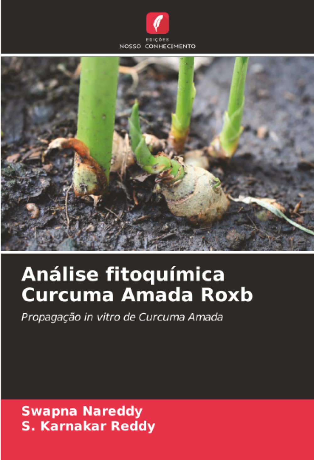 Análise fitoquímica Curcuma Amada Roxb: Propagação in vitro de Curcuma Amada