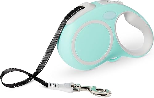 Tienda Basics Correa retráctil para perro L